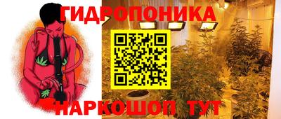 гашик Малоярославец